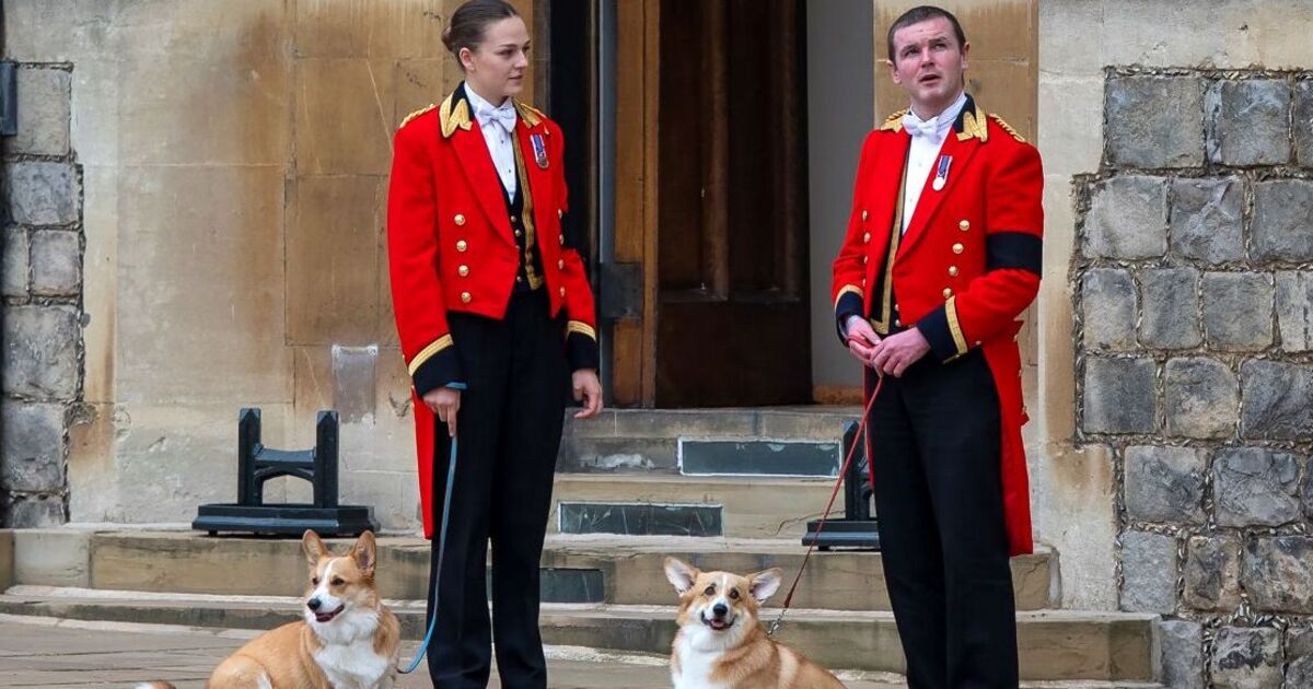 Sarah Ferguson donne des nouvelles rares sur les chiens adorés de la défunte reine dans un message sincère