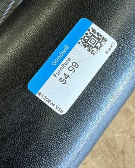 Un client d'une œuvre caritative trouve un article d'une valeur de 1 000 £ pour seulement 4 £ – et vous pourriez en posséder un