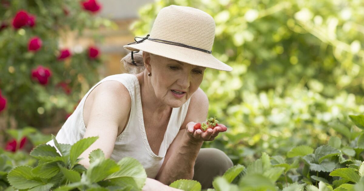 Un expert exhorte les jardiniers amateurs à agir maintenant pour protéger leurs plantes par temps chaud