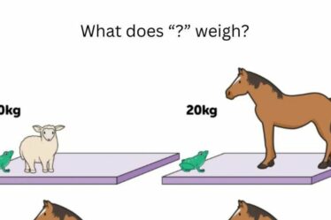 Une question mathématique « simple » laisse les gens perplexes – mais pouvez-vous la résoudre ?