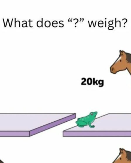 Une question mathématique « simple » laisse les gens perplexes – mais pouvez-vous la résoudre ?