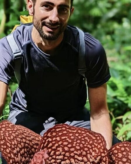 « Pourquoi j'ai fouillé dans la jungle pour trouver un parasite énigmatique qui pue la viande pourrie »