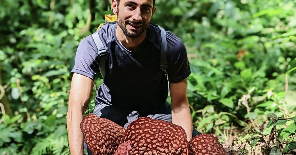 « Pourquoi j'ai fouillé dans la jungle pour trouver un parasite énigmatique qui pue la viande pourrie »