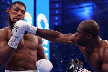 Anthony Joshua suspendu de la boxe après le brutal KO de Daniel Dubois