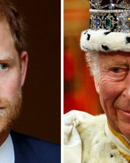 Famille royale EN DIRECT : « La vraie raison » pour laquelle le prince Harry et le roi Charles « ne se rencontreront pas au Royaume-Uni »