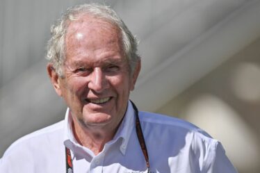 Helmut Marko demande une deuxième enquête de la FIA sur McLaren au Grand Prix de Singapour