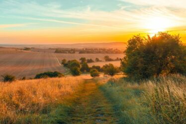 L'Angleterre fait face à l'une des pires récoltes du pays après des pluies record qui ont ruiné les cultures