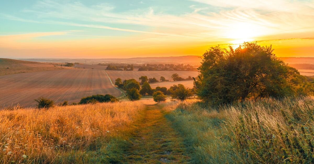 L'Angleterre fait face à l'une des pires récoltes du pays après des pluies record qui ont ruiné les cultures