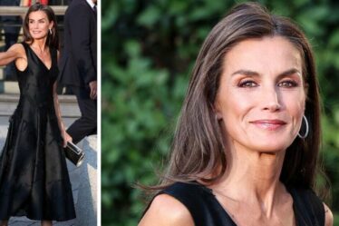 La reine Letizia suscite l'engouement des fans avec une « belle » robe d'un magasin populaire