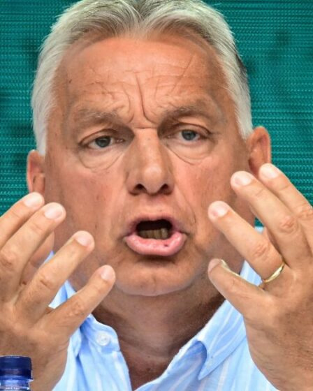 « Le début de la fin » pour l’UE alors que la répression massive contre les migrants surprend Bruxelles