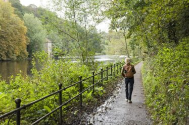 Les compagnies des eaux consacrent seulement 2 % de leur budget aux infrastructures naturelles, préviennent les militants