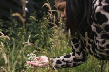 Les jardiniers peuvent contribuer au déclin « effrayant » de la faune grâce à un jardinage respectueux de la nature