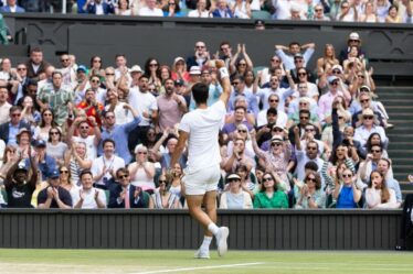 Les neuf députés amateurs de billets gratuits qui ont englouti 5 790 £ de billets gratuits pour Wimbledon