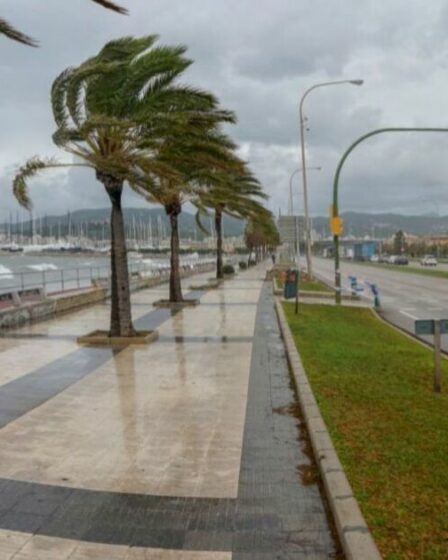 Majorque se prépare à des « coups durs » alors que les touristes sont avertis que leurs vacances pourraient être gâchées