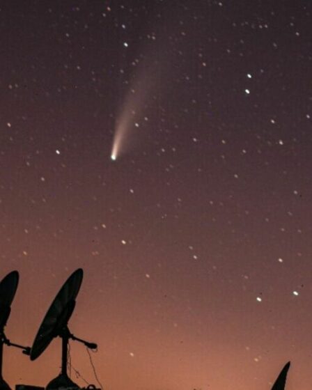 Tsuchinshan-ATLAS : Comment voir une comète unique dans le ciel britannique cette semaine