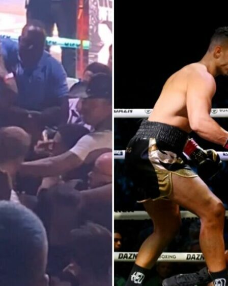 Un boxeur de Misfits 17 frappe un fan et jette une chaise dans des scènes d'après-combat folles