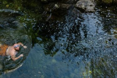 Un couple se baigne dans un ruisseau magnifique dans la jungle – mais le regrette immédiatement