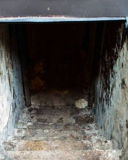 Une femme découvre une pièce cachée dans sa maison après avoir remarqué un phénomène étrange dans sa salle de bain