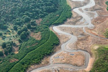 Une sécheresse apocalyptique frappe l'Amazonie alors que les rivières s'assèchent dans des conditions « aussi mauvaises que celles du désert du Sahara »