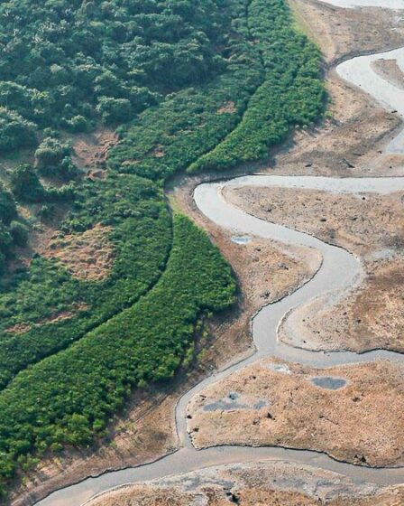Une sécheresse apocalyptique frappe l'Amazonie alors que les rivières s'assèchent dans des conditions « aussi mauvaises que celles du désert du Sahara »