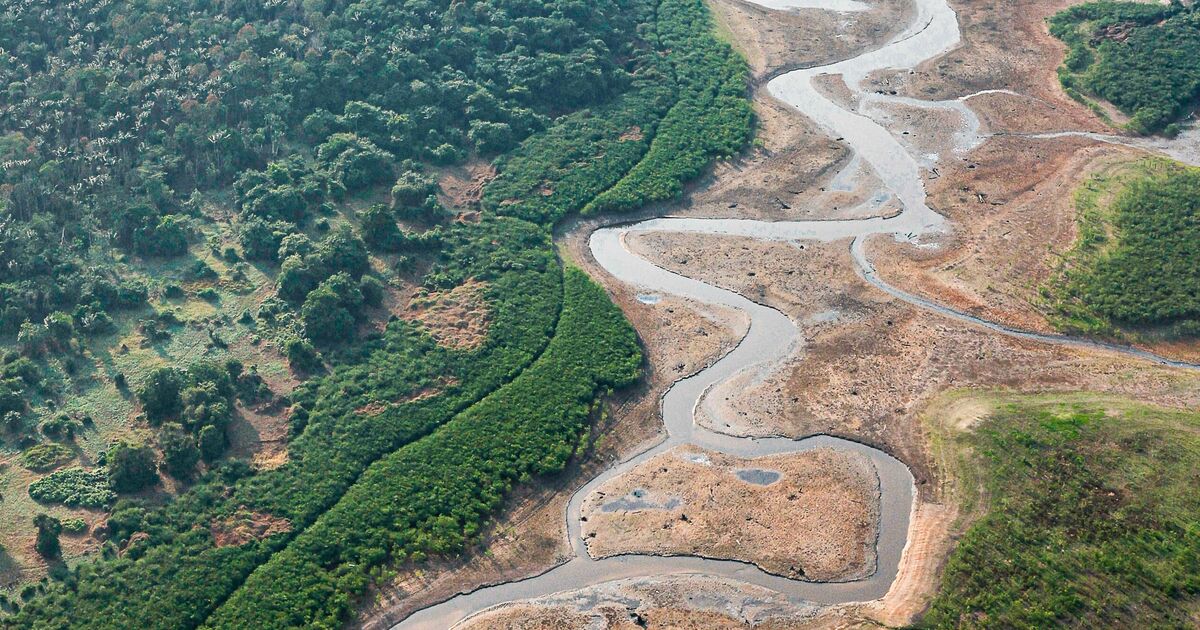 Une sécheresse apocalyptique frappe l'Amazonie alors que les rivières s'assèchent dans des conditions « aussi mauvaises que celles du désert du Sahara »