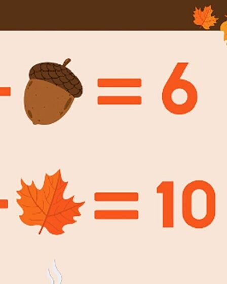 Vous avez une vision 20/20 si vous parvenez à résoudre ce casse-tête d'automne en moins de 45 secondes