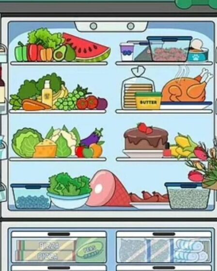 Seuls ceux qui ont une vision de 20/20 peuvent repérer tous les objets manquants en 20 secondes