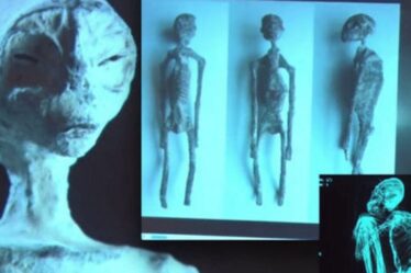 Des scientifiques font une découverte surprenante après avoir disséqué les corps de « momies extraterrestres »