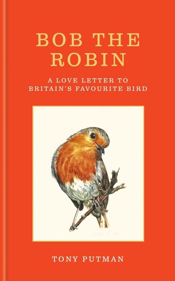 Couverture du livre Bob le Robin