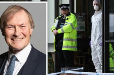 Le député assassiné David Amess a été « un échec catastrophique du gouvernement », affirme sa fille