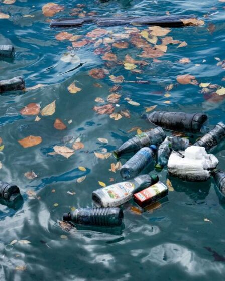 Des scientifiques développent un « plastique intelligent » qui se dissout dans l'océan