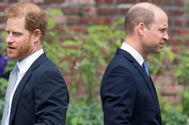 Famille royale EN DIRECT : le prince Harry reçoit un subtil rameau d'olivier – mais Meghan l'a snobé