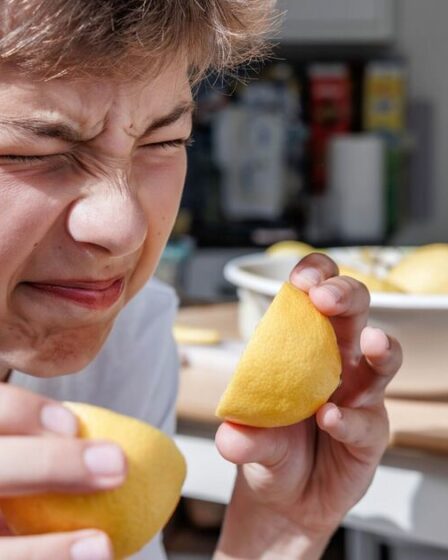 La maladie qui frappait autrefois les marins « augmente en raison de la crise du coût de la vie »