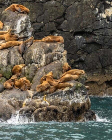 La nature en « chute libre » à cause des humains, préviennent les défenseurs de l’environnement