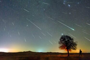 La pluie de météores des Orionides culminera ce soir – heure exacte pour voir les débris de la comète de Halley