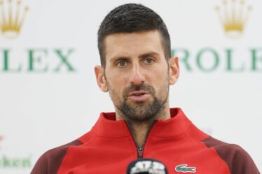 La triste théorie de Novak Djokovic soutenue par une autre star : "Je ne vois pas ça maintenant"