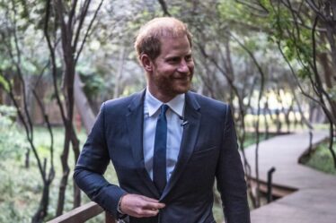 Le prince Harry "aller en solo" est sa propre idée car il a désespérément besoin d'une chose, affirment des sources