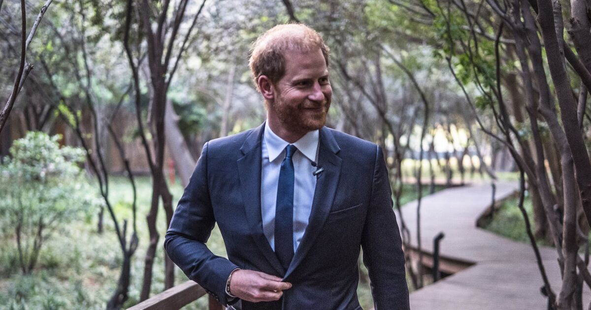 Le prince Harry "aller en solo" est sa propre idée car il a désespérément besoin d'une chose, affirment des sources