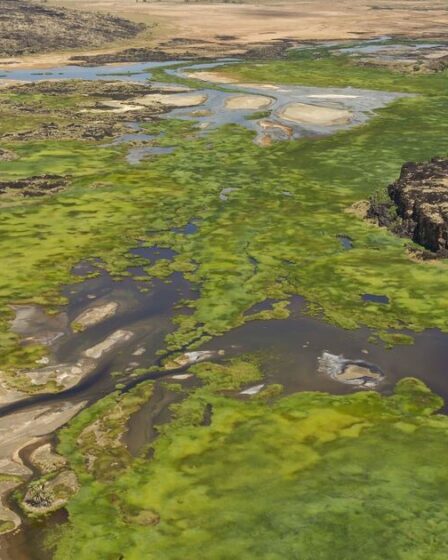 Le « sixième océan du monde » se forme lentement en Afrique