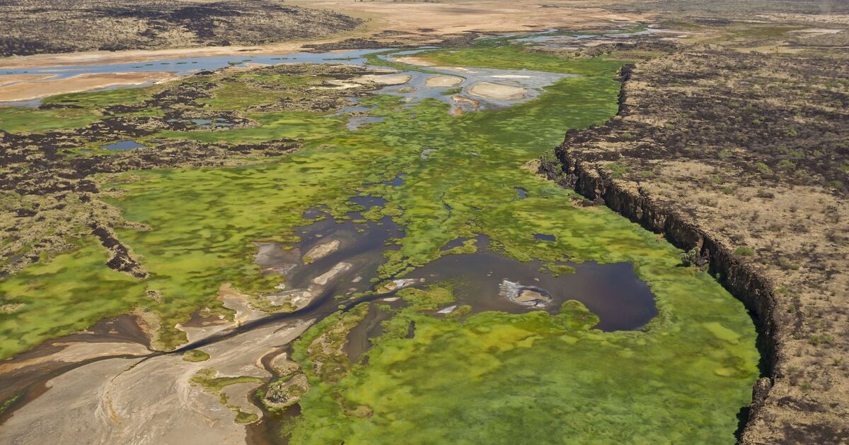 Le « sixième océan du monde » se forme lentement en Afrique