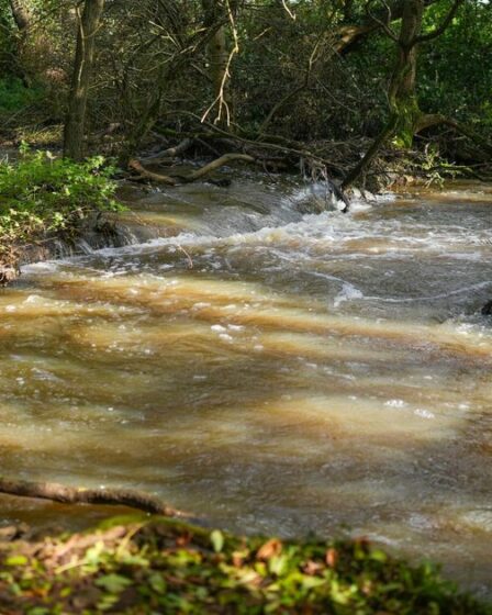 Les compagnies des eaux exigent une hausse de la facture allant jusqu'à 84% malgré les décharges d'eaux usées et la colère des primes