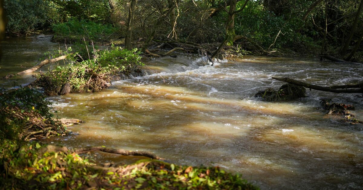 Les compagnies des eaux exigent une hausse de la facture allant jusqu'à 84% malgré les décharges d'eaux usées et la colère des primes