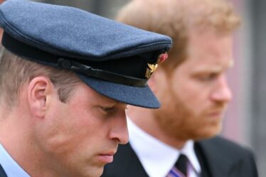 Les deux personnes qui pourraient jouer un rôle clé dans la réparation de la querelle entre le prince William et Harry