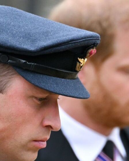 Les deux personnes qui pourraient jouer un rôle clé dans la réparation de la querelle entre le prince William et Harry