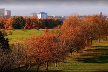 Magnifique promenade d'automne avec parc aventure et marché fermier