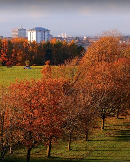 Magnifique promenade d'automne avec parc aventure et marché fermier