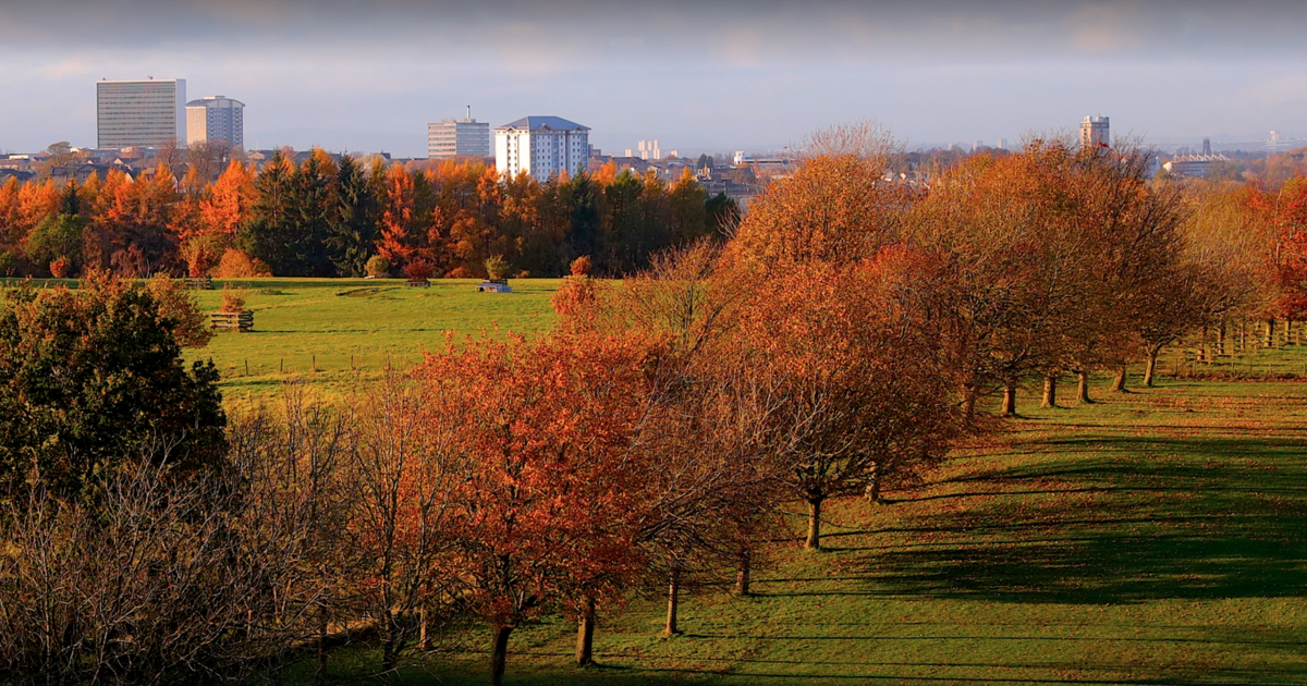 Magnifique promenade d'automne avec parc aventure et marché fermier