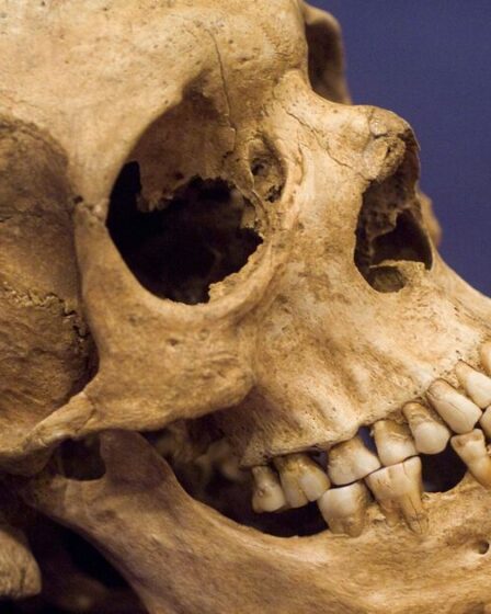 Percée archéologique alors que les scientifiques découvrent un impact permanent « significatif » du tabagisme