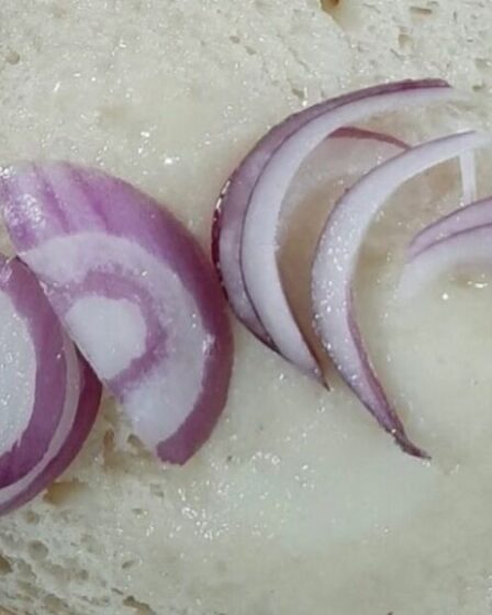 Repas bon marché d'un club de football de 85 pence qualifié de « le plus dégoûtant au monde » par les fans de Tottenham