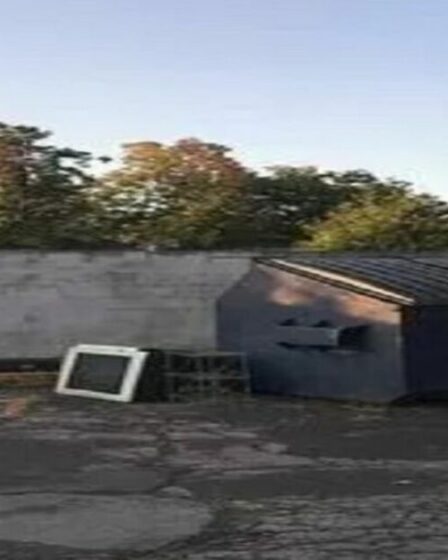 Seuls ceux qui ont une vision de 20/20 peuvent repérer le cerf caché en moins de 17 secondes.